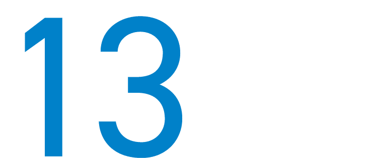 13