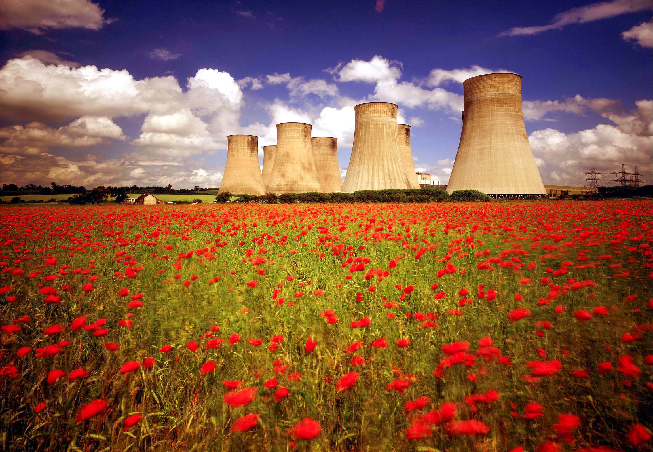 Poppy fields at Ratcliffe power station