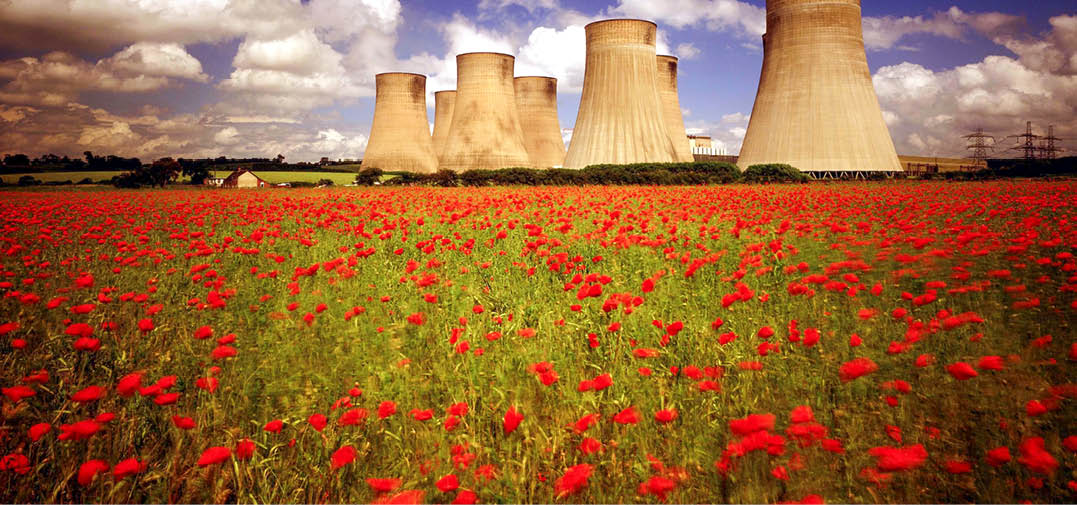 Poppy fields at Ratcliffe power station