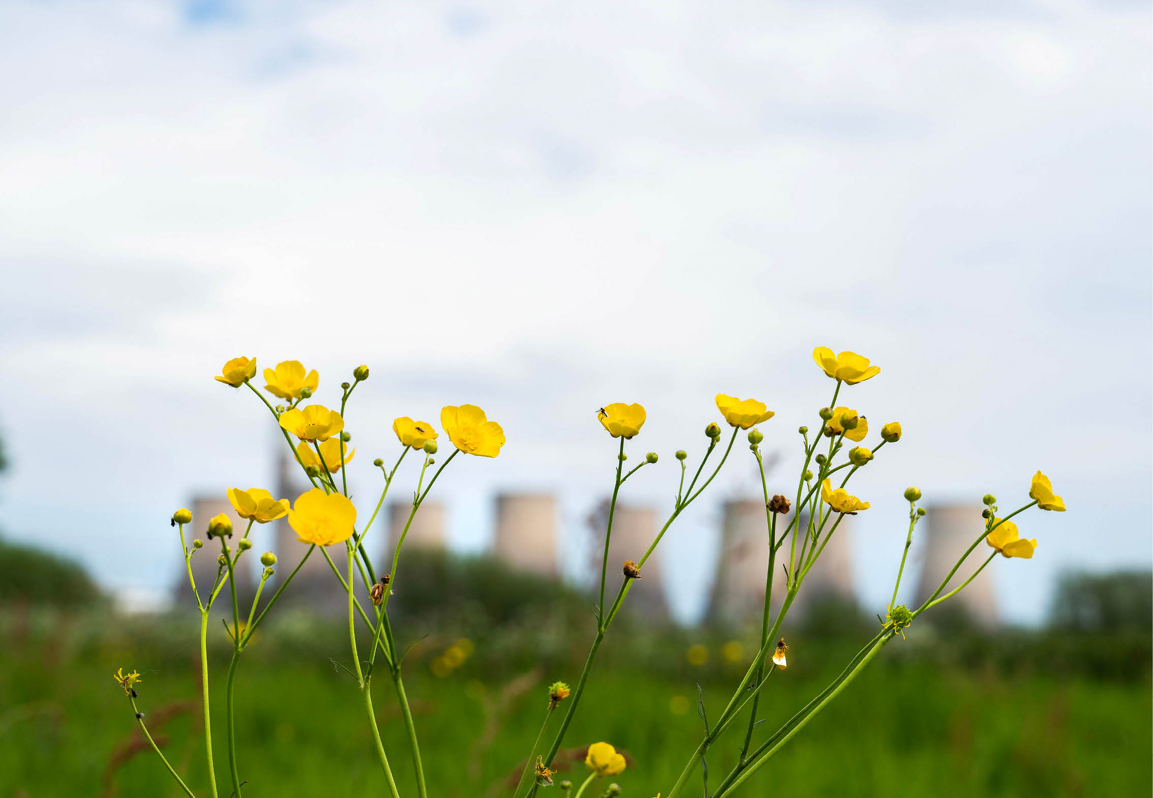 (Photo shoot 0524-008) Ratcliffe Power Station visit 15.05.2024
